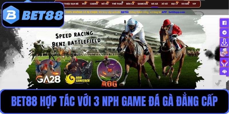 Bet88 hợp tác với 3 NPH nổi tiếng mang đến những trận đá gà đẳng cấp