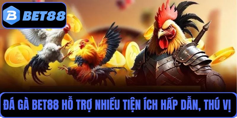 Đá gà Bet88 hỗ trợ người chơi nhiều tiện ích hấp dẫn, thú vị