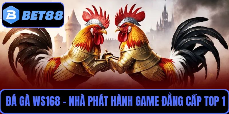 Đá gà WS168 là nhà phát hành game đẳng cấp top 1 trong lĩnh vực cá cược