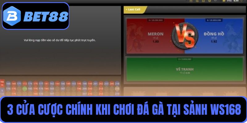 Hiểu rõ về 3 cửa cược chính khi chơi đá gà tại sảnh WS168Hiểu rõ về 3 cửa cược chính khi chơi đá gà tại sảnh WS168Hiểu rõ về 3 cửa cược chính khi chơi đá gà tại sảnh WS168