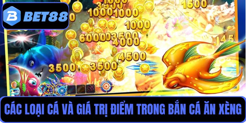 Khám phá các loại cá và giá trị điểm trong bắn cá ăn xèng