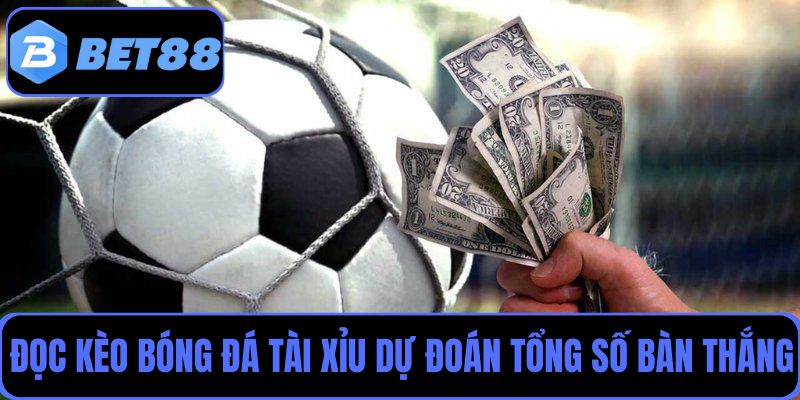 Nắm rõ cách đọc kèo bóng đá Tài Xỉu để dự đoán tổng số bàn thắng cả trận 