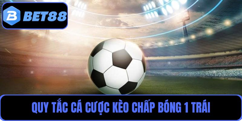 Người chơi tham gia bắt kèo chấp bóng 1 trái cần nắm rõ quy tắc cá cược