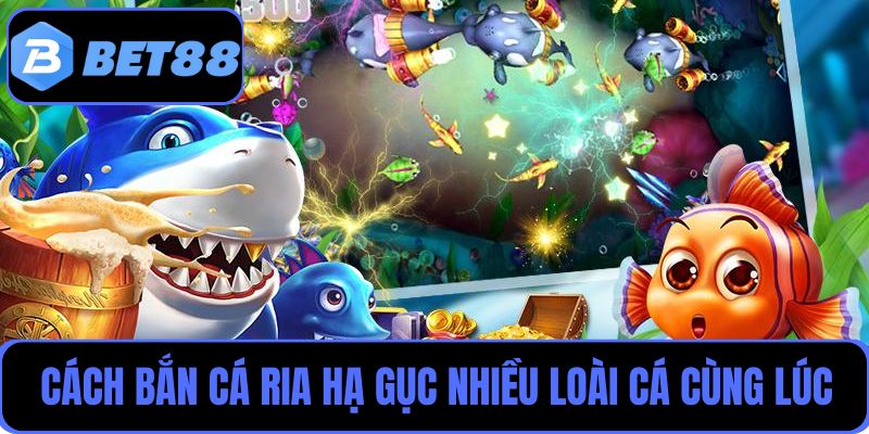 Tận dụng cách bắn cá ria để hạ gục nhiều loài cá cùng lúc