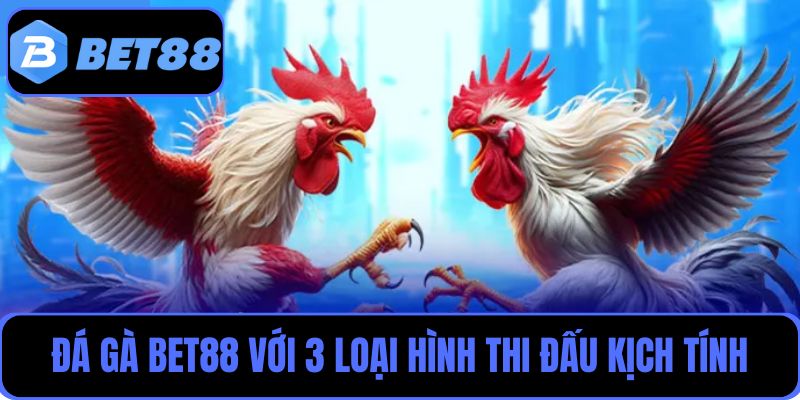 Tham gia đá gà Bet88 với 3 loại hình thi đấu phổ biến, đầy kịch tính
