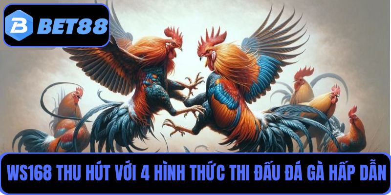 WS168 thu hút nhiều người chơi với 4 hình thức thi đấu đá gà hấp dẫn